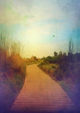 "Pave the way" Color photograph taken in Barcelona's be ... 