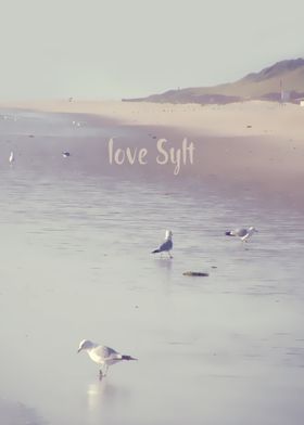 "LOVE SYLT I".  PHOTOGRAPHY, BEACH; NORTHSEA; SYLT; SEA ... 