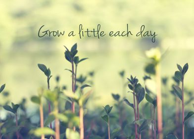 Grow a Little Each Day Small Green Shoots - Simple plan ... 
