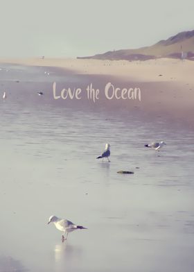 "LOVE the OCEAN III ". PHOTOGRAPHY, BEACH; NORTHSEA; SY ... 