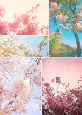 Spring Floral Sakura Collage Pink White Cherry Blossoms ... 