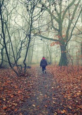 Walking in the foggy woodland