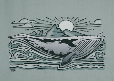 Hand drawn illustration or drawing of a gray whale