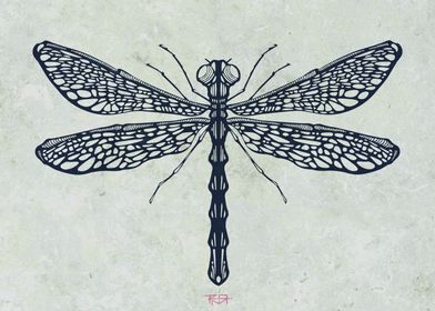 Hand drawn illustration or drawing of a dragonfly