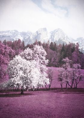 Purple and pink Austrian landscape. 