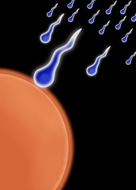 Sperm Egg Blue sperm racing toward an orange egg on bla ... 