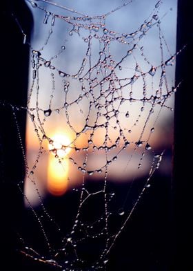 A frozen spider web hangs in front of a setting sun