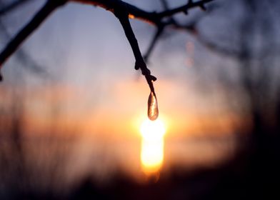 a single droplet of water hangs in front of a beautiful ... 