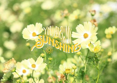 You Are My Sunshine Pretty Yellow Cosmos Flowers - Pret ... 