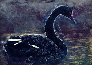 Black swan