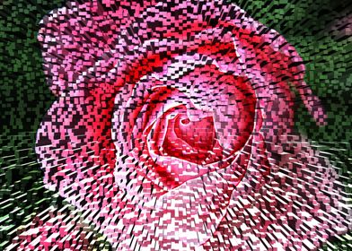Exploding rose mixed media art and photography by Clare ... 