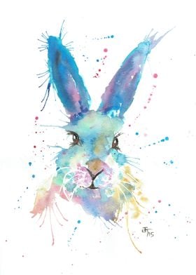 Mr Bunny taken from an original watercolour painting by ... 