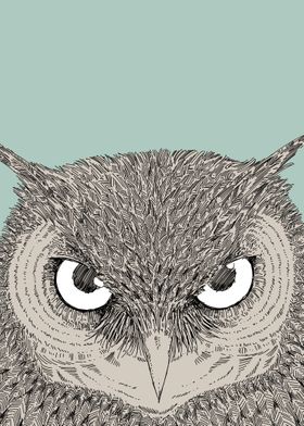 owl sketch