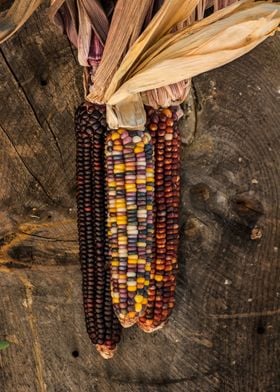 Native Corn with wooden ba