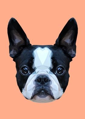 Frenchie/Boston Terrier Polygon Art // Peach