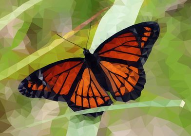 Polygon - Monarch butterfly