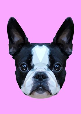 Frenchie/Boston Terrier Polygon Art // Lilac