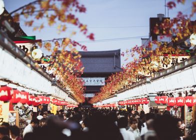 Autumn in temple zone at Tokyo