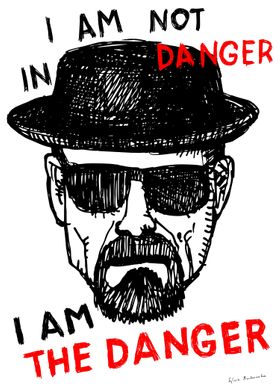 MR. Heisenberg I am the danger