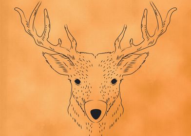 Deer Lines