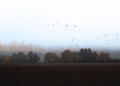 Title: Misty October Day VIa. Photography and digital p ... 