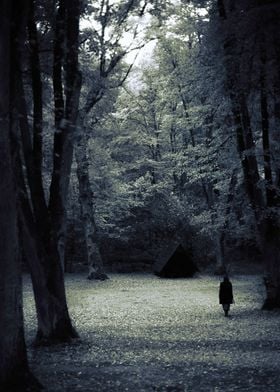 Woman walking toward the cabin in the woods