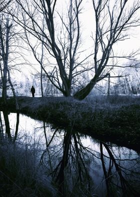 Man standing by the river bank in the forest