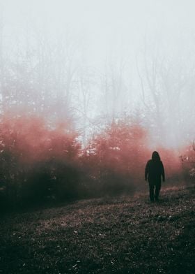 Man walking in the autumnal foggy forest