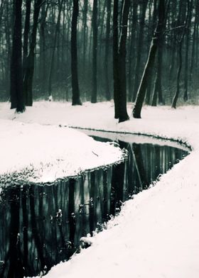 Winter scenery in park covered in snow