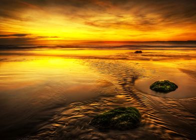 (North Yorkshire Coast) North Yorkshire is a non-metrop ... 