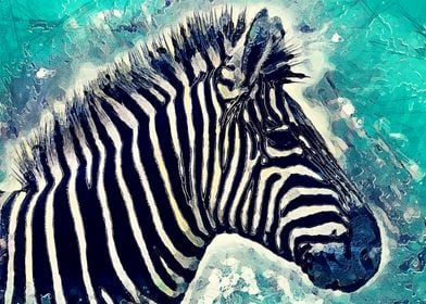 Zebra