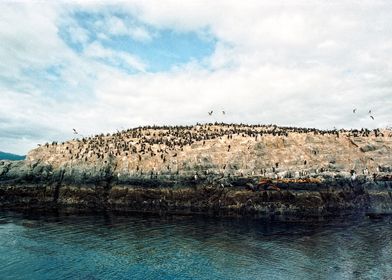 Canal Beagle