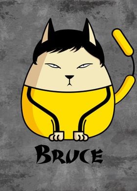 Bruce the cat