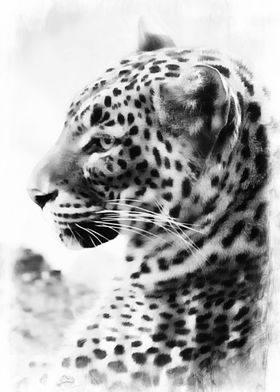 Mixed media art and photography piece of a leopard  in  ... 