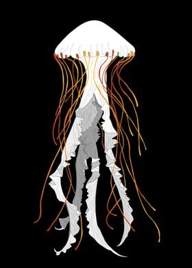 White Jellyfish illustrati