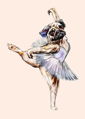 Pug Ballerina in Dog Ballet imitating a French Swan Lak ... 