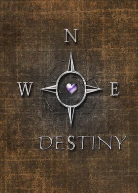 "Destiny" Which way to go.... destiny will lead us. 