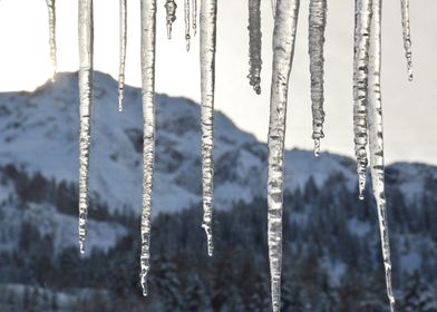 the Swiss Alps , with icicles 