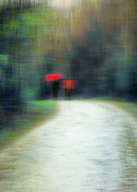 Walk In The Rain Photograp