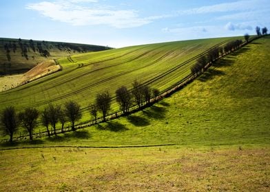 Yorkshire Landscape