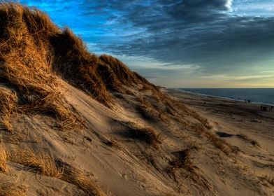 Danish dunes, from Hvide S