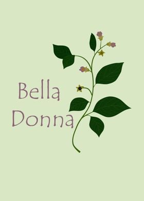 Atropa belladonna or Deadly Nightshade