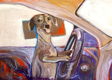 Pet Portrait Dog Driving
