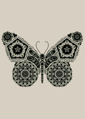 Ornamental Butterfly - Please, for more visit my site h ... 