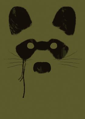 Raccoon - Please, for more visit my site http://goo.gl/ ... 