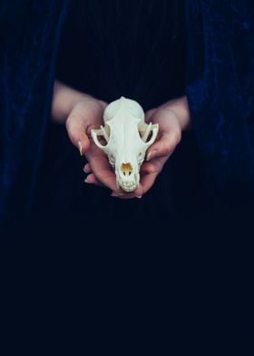 Woman holding fox skull
