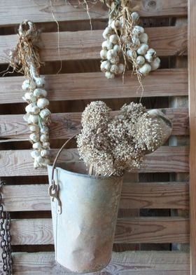 Hanging Garlic