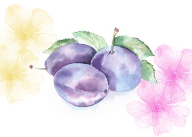 Plums and flowers in watercolor.