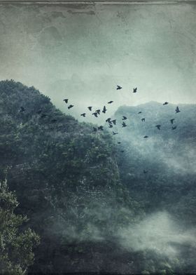 Misty Mountains Vol. X