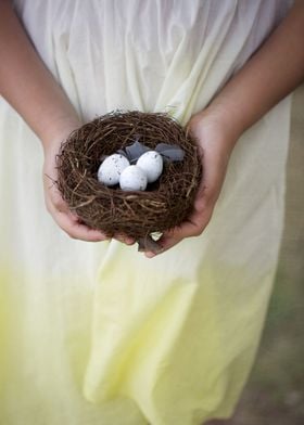 hands holding a nest with three little eggs 